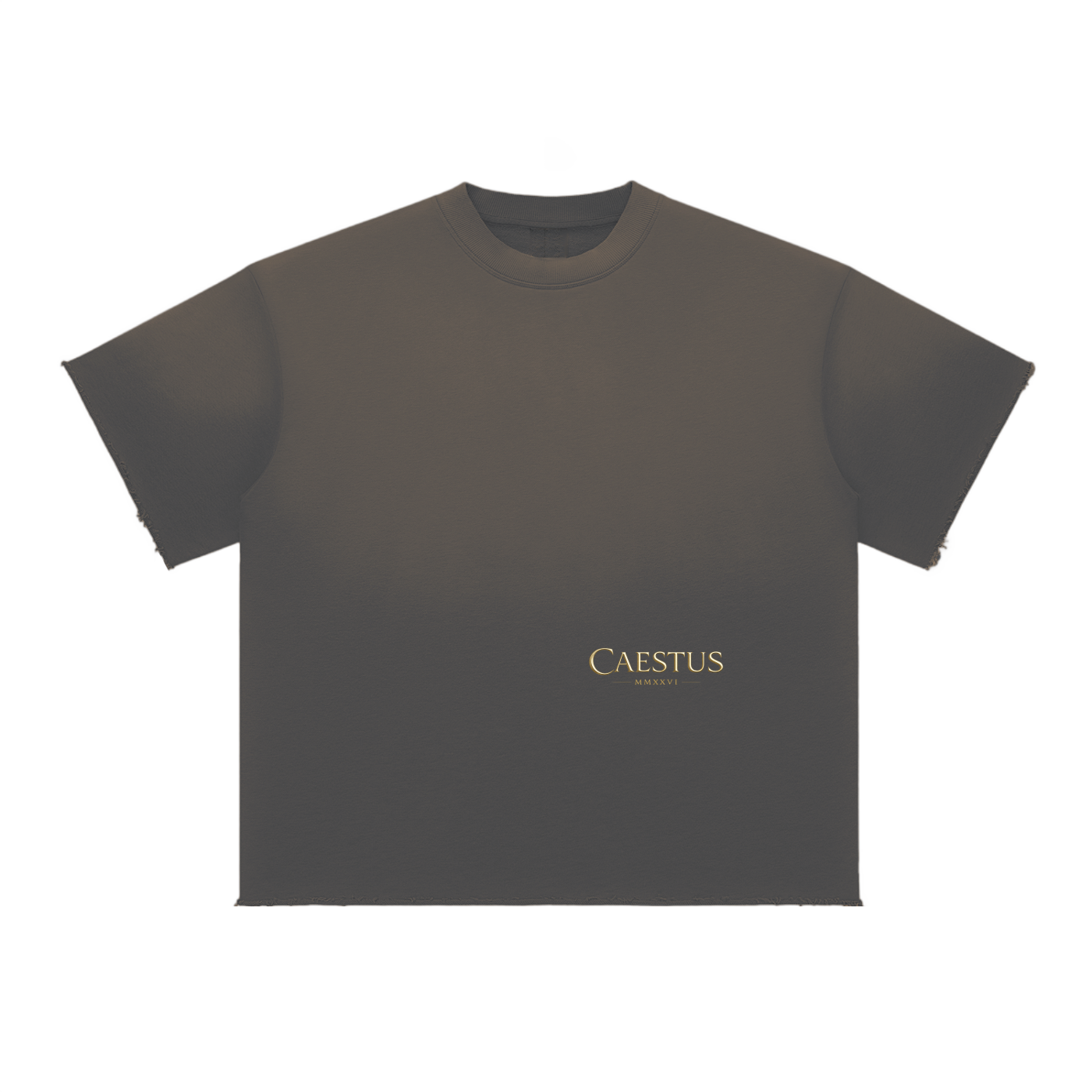 Caestus "Born to rise" T-Shirt
