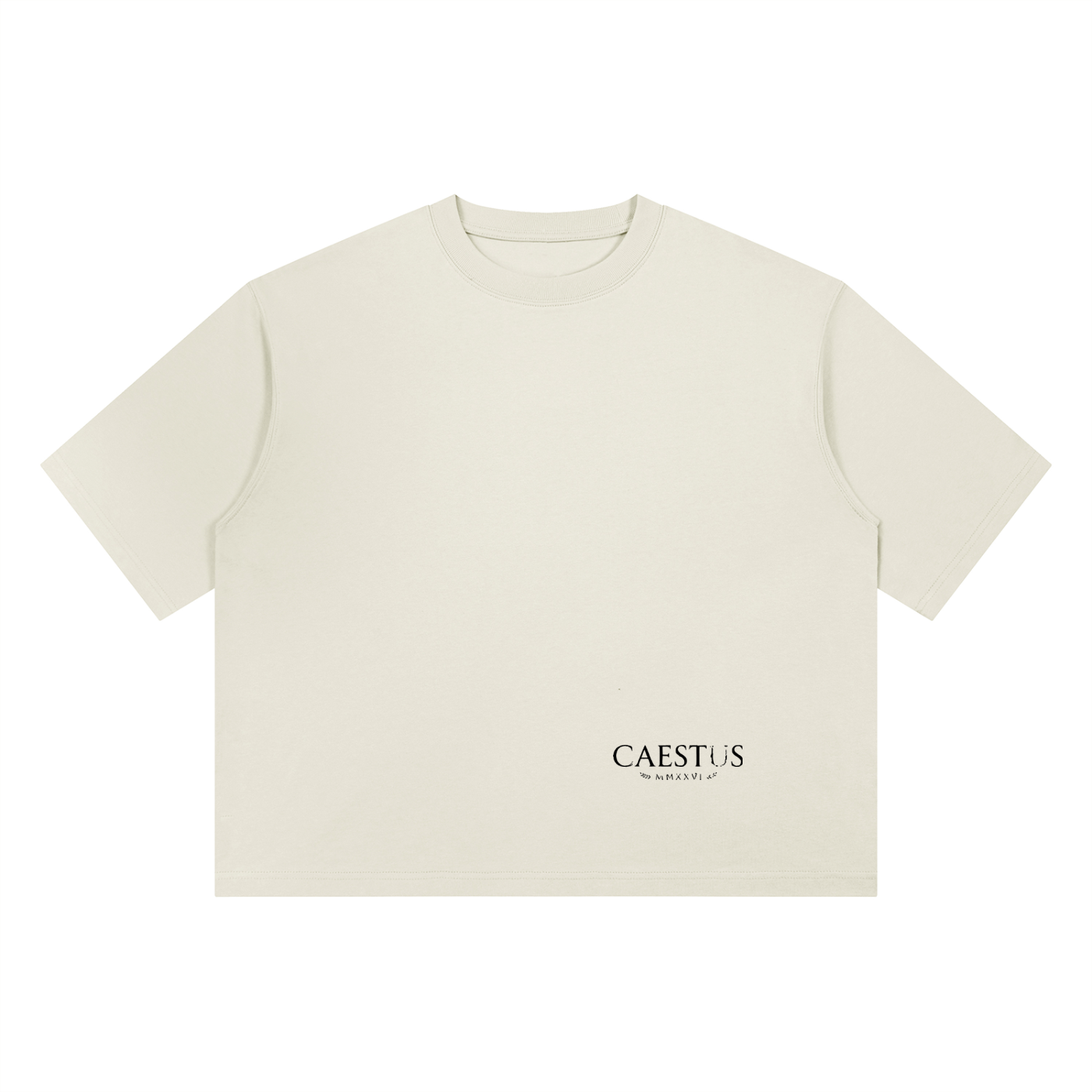 Caestus  Heavyweight Boxy T-Shirt