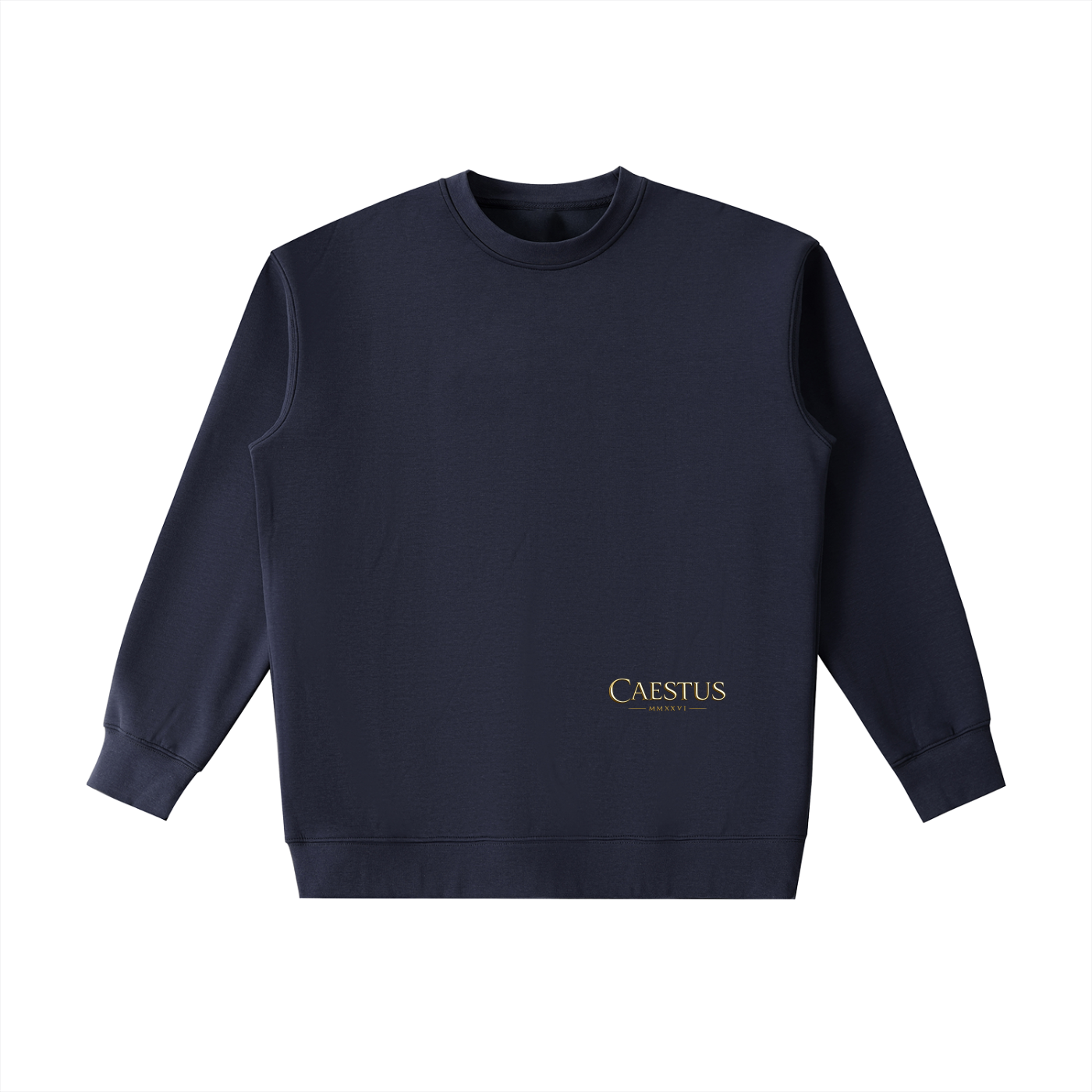 Caestus „FORGED IN SILENCE“ Hoodie