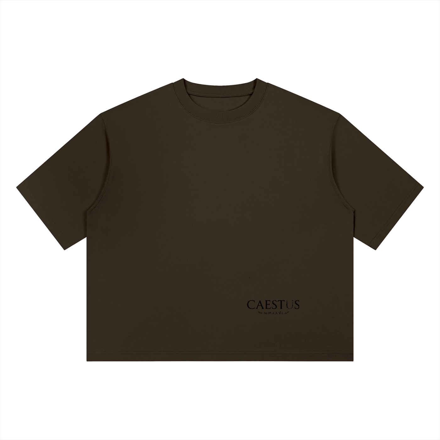 Caestus  Heavyweight Boxy T-Shirt