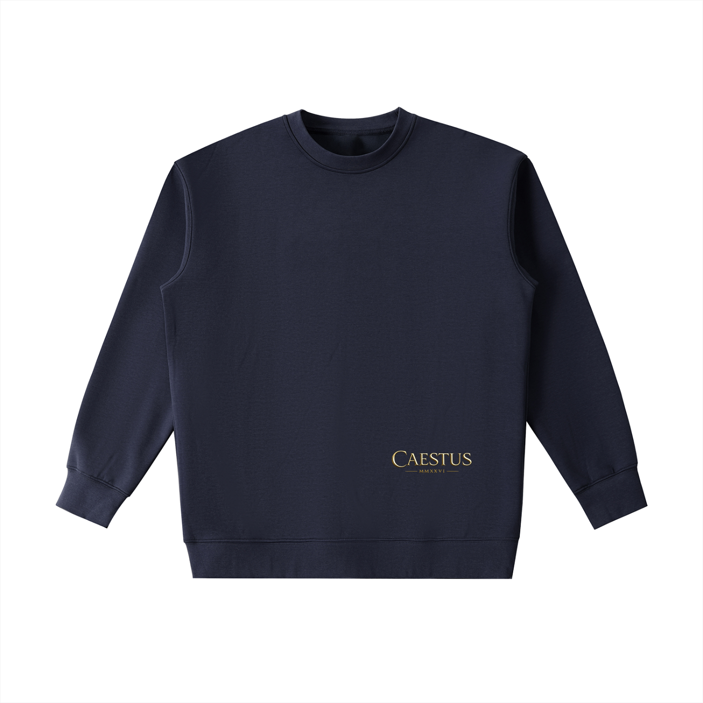 Caestus “FORGED IN SILENCE” Hoodie