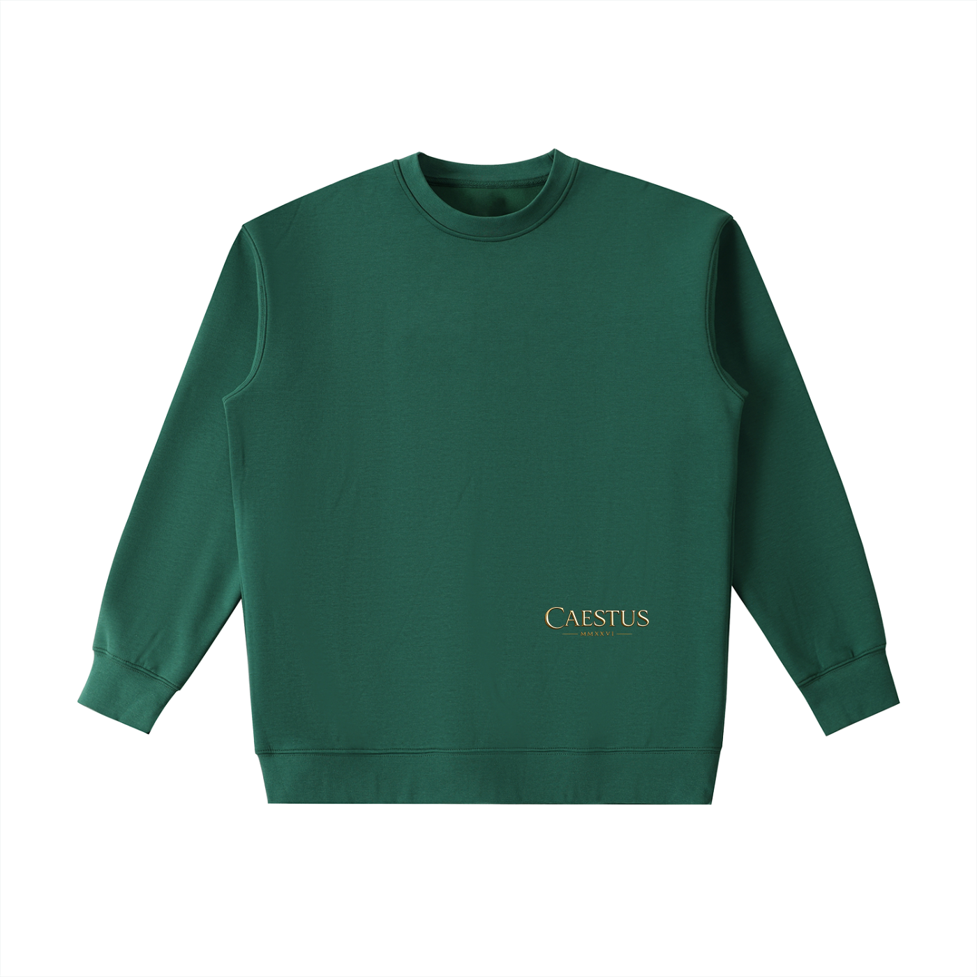Caestus „FORGED IN SILENCE“ Hoodie