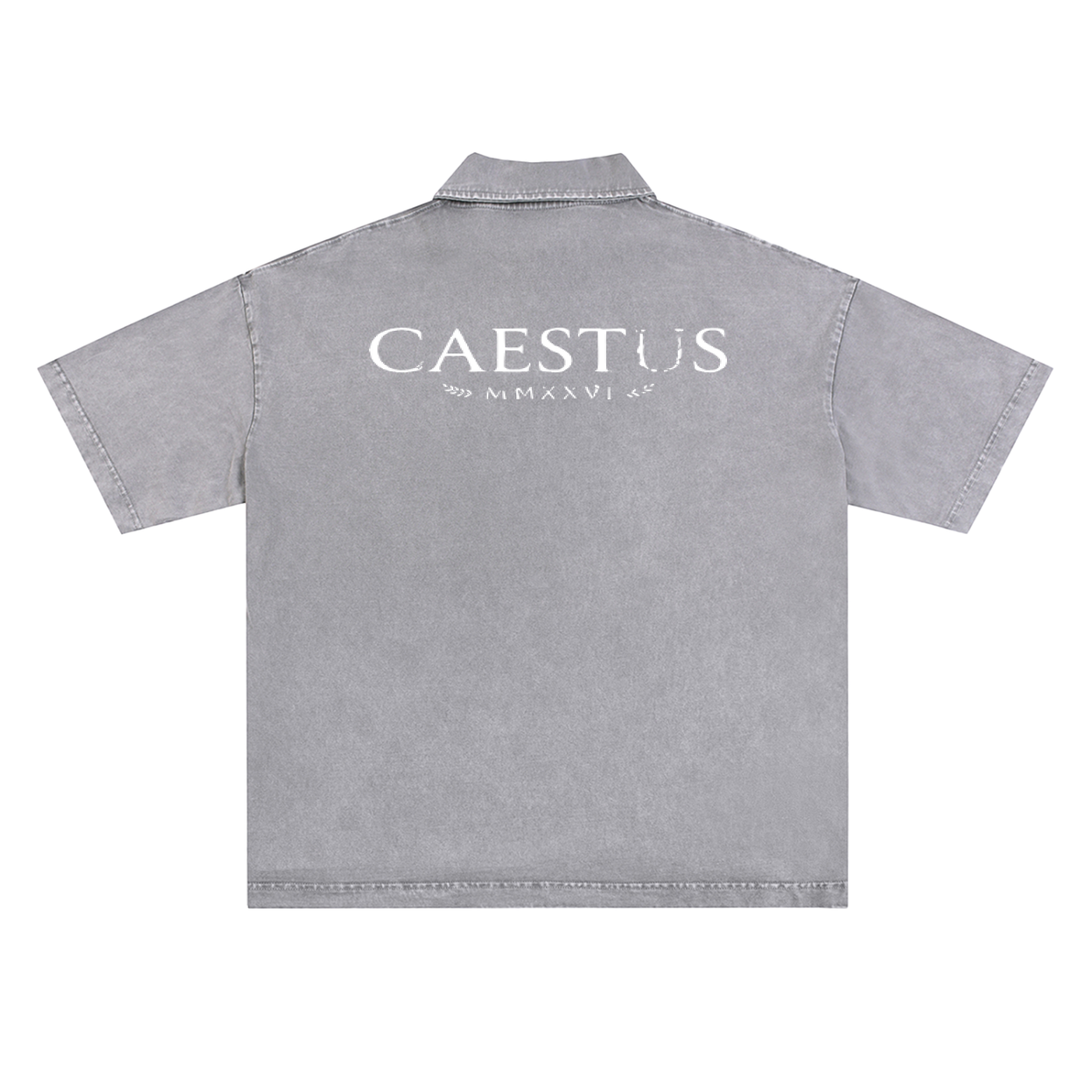 Caestus Snow-Washed T-Shirt