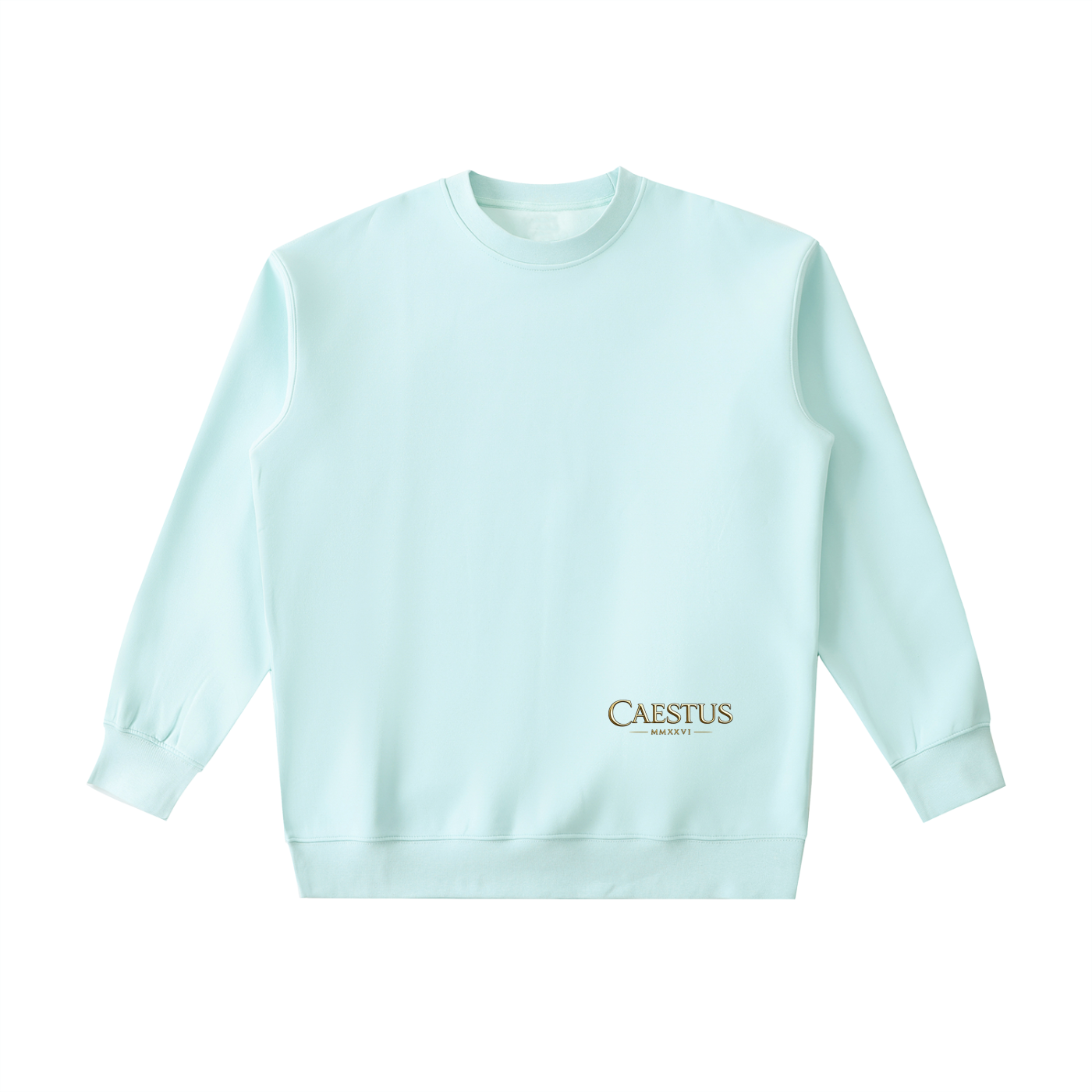 Caestus “FORGED IN SILENCE” Hoodie