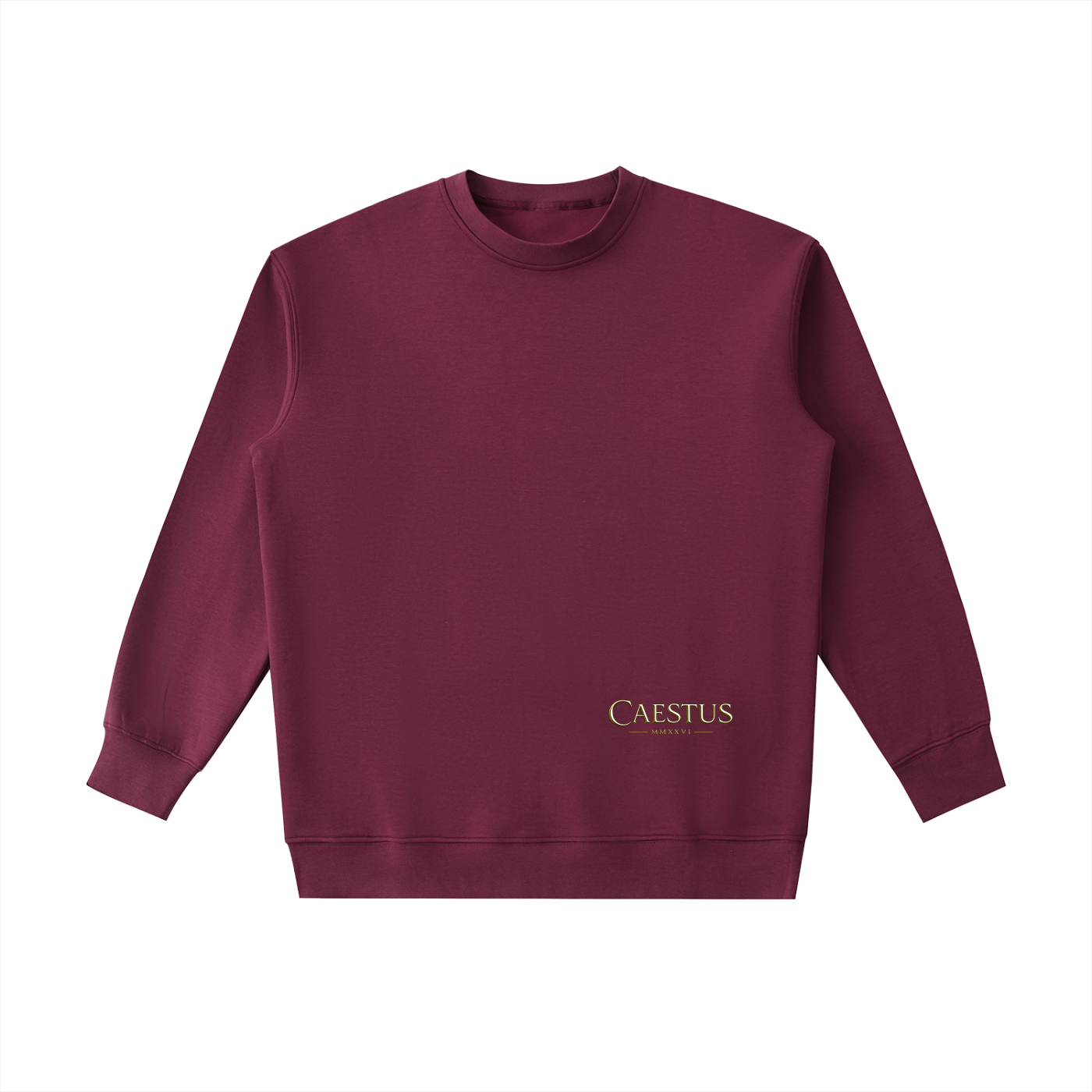 Caestus “FORGED IN SILENCE” Hoodie