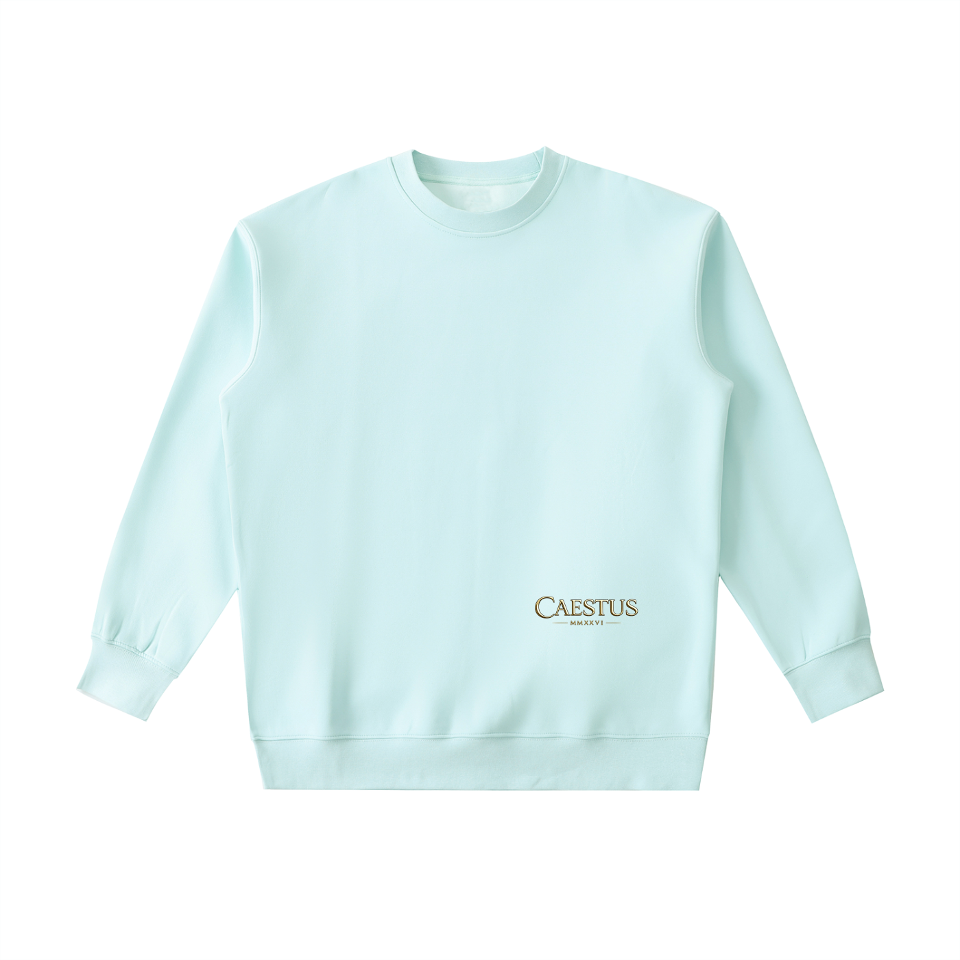 Caestus „FORGED IN SILENCE“ Hoodie