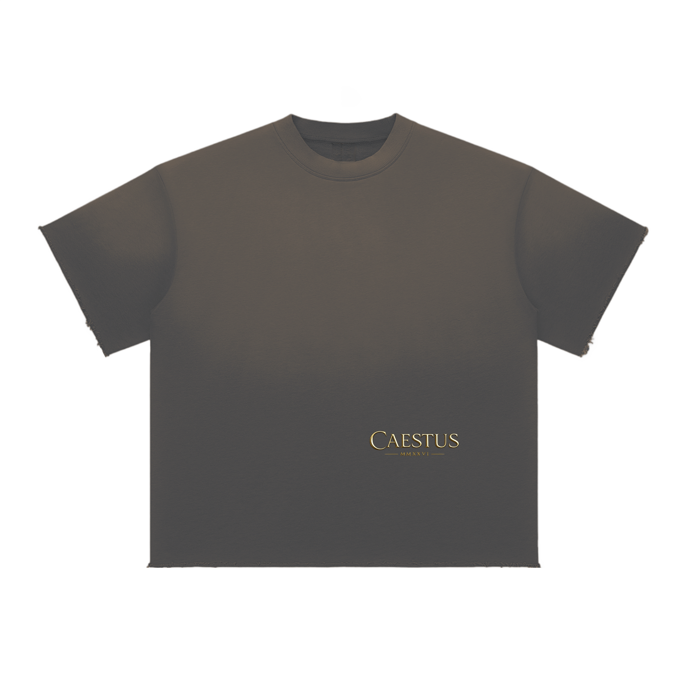 Caestus "Born to rise" T-Shirt